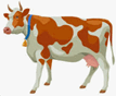 0900n0vl-0f49-107x88.png