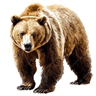 0900n0vp-4e59-96x96.png