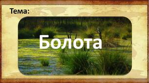 Презентація до теми "Болота".