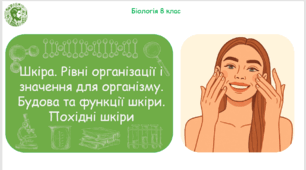 Презентація, конспект уроку та робочі аркуші на тему "Шкіра. Рівні організації і значення для організму. Будова та функції шкіри. Похідні шкіри". 8 клас НУШ