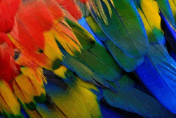 0900n43c-aa62-251x168.png