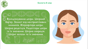 Презентація, конспект уроку та робочі аркуші на тему "Функціонування шкіри. Шкірний бар’єр. Захист від несприятливих чинників. Мікрофлора шкіри. Шкірна рецепція. Рецептори шкіри та їх значення. Шкірна секреція. Шкірні залози та їх значення". 8 клас НУШ