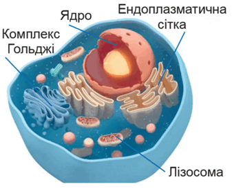 0900n68b-b361-337x277.png