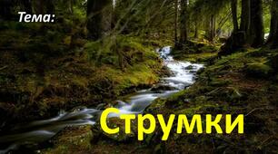 Презентація до теми "Води суходолу. Струмки."