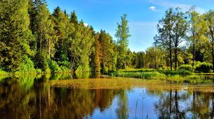 Краса навколо нас