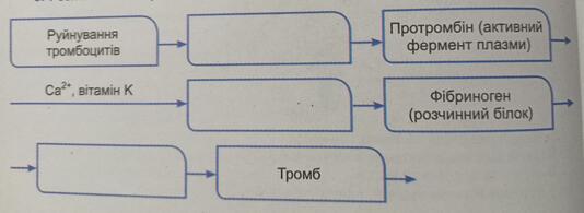 0900n7i4-8d54-534x195.jpg