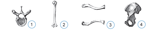 0900n8db-c02d-512x109.png