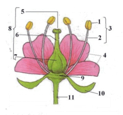 0900n8ex-cd37-254x239.png