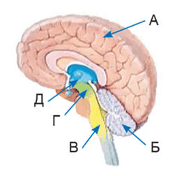 0900n8i1-3769-254x252.png