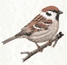 0900n8jh-473c-67x65.png