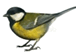 0900n8l5-ea1a-76x56.png
