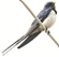 0900n8le-6329-55x53.png