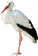 0900n8lm-dc85-38x56.png