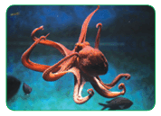 0900n907-b3a7-178x129.png