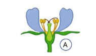 0900natm-c6ce-305x176.png