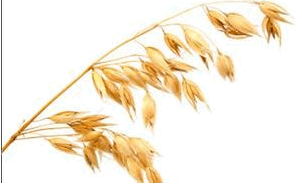 0900nb3b-e0c0-351x215.png