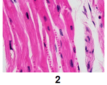 0900nc4j-dbac-359x285.png