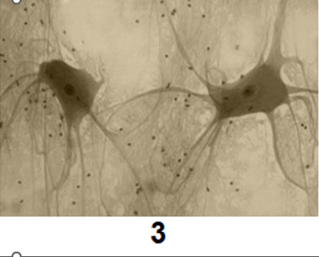 0900nc4q-990d-357x288.png