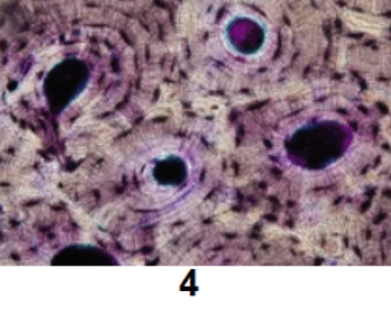 0900nc50-3a2d-356x285.png