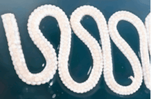 0900ndu6-e107-216x143.png