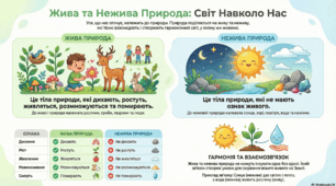Інфографіка "Жива і нежива природа"