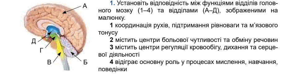 0900ngdo-790d-940x253.png