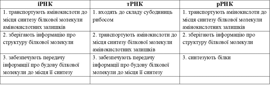 0900ngkv-f216-940x335.png