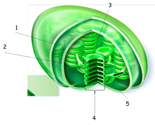 0900nh2g-d027-529x427.png