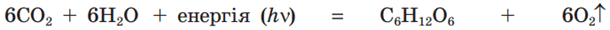 0900njrn-8278-610x30.png