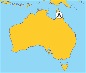 0900nkke-04a2-300x256.png