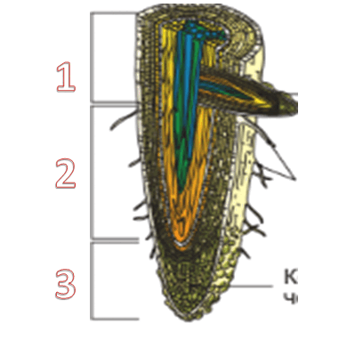 0900nqj8-0fd9-408x391.png