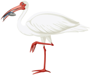 0900nroy-ceef-320x262.png