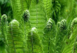 0900nv18-c43d-155x107.png