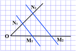 0900nvxr-c07a-244x164.png
