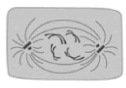 0900nx4g-7ff0-126x88.png