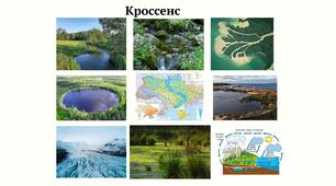Кроссенс "Поверхневі води"