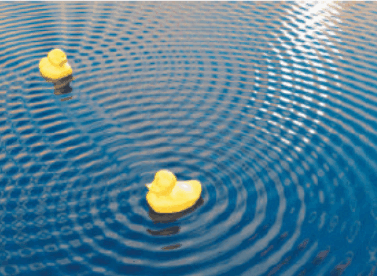 0900o05h-d074-377x276.png