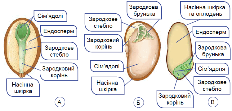 0900o0t9-55b5-748x359.png