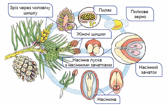 0900o14d-6b09-708x454.png