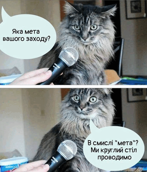 0900o3pd-de4e-490x572.png