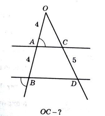 0900o4j4-75e4-336x371.jpg