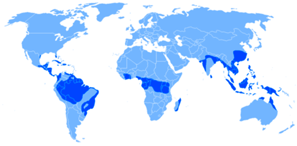 0900obf9-1c56-602x297.png