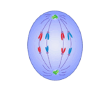 0900obrv-8de6-158x130.png