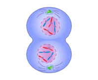 0900obv4-fdc2-198x163.png