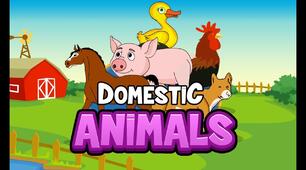 Domestic Animals