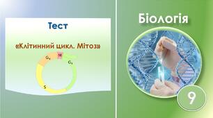 Тест: "Клітинний цикл. Мітоз"