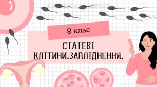 Статеві клітини.Запліднення.