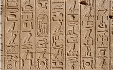 0900oddo-007d-231x144.png