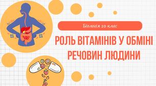 Роль вітамінів у обміні речовин