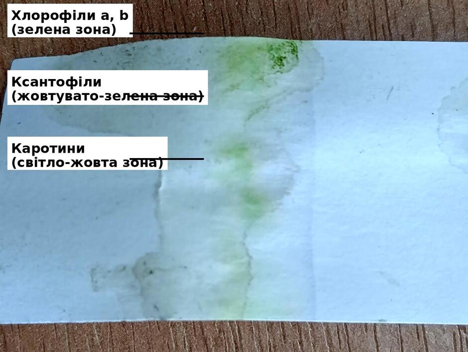 0900odzd-54ee-940x708.jpg
